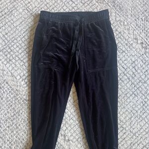 Ann Taylor velvet jogger style pant